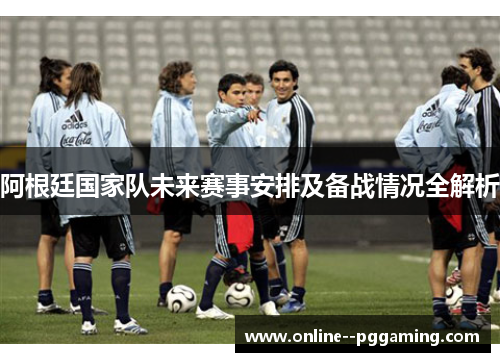 阿根廷国家队未来赛事安排及备战情况全解析