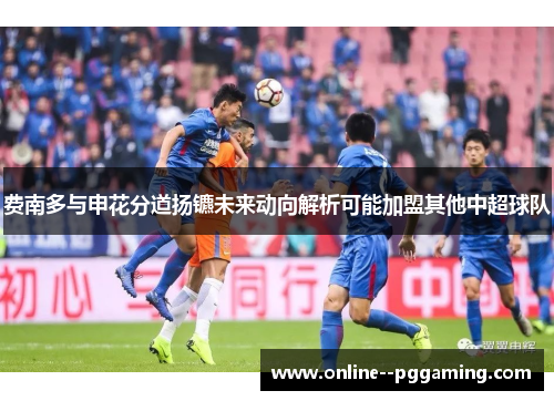 费南多与申花分道扬镳未来动向解析可能加盟其他中超球队 费南多与申花分道扬镳未来动向解析可能加盟其他中超球队